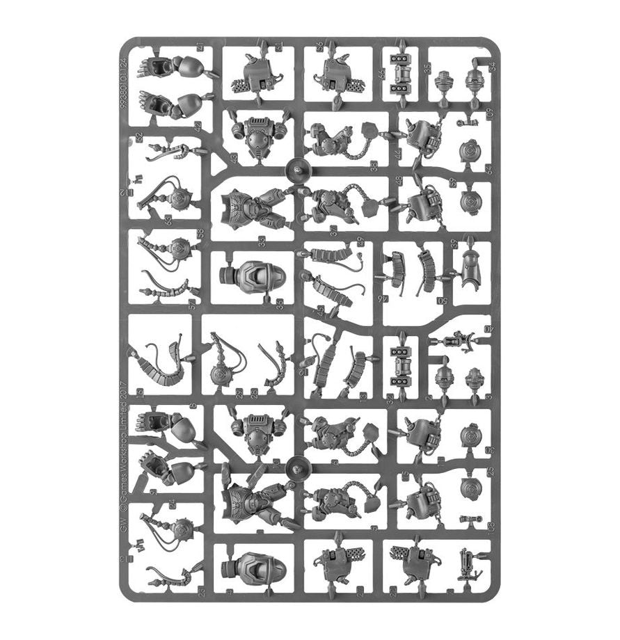 Space Marines: Aggressors Primaris