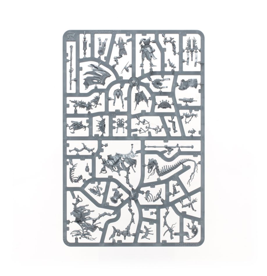 Tomb Kings Of Khemri: Liche Priests/ Prêtres Liches