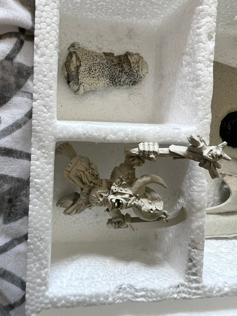 Marauder Miniatures – Orc War Wyvern (Warhammer Battle V4/V5)