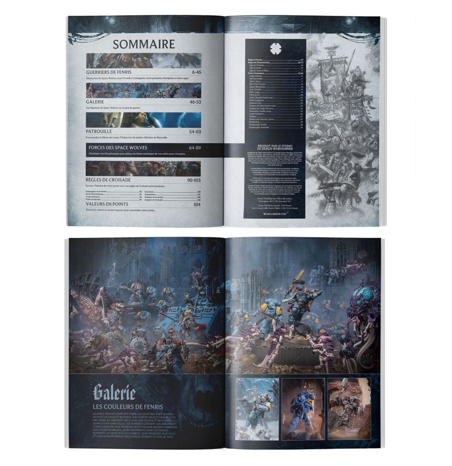 Supplément De Codex: Space Wolves (Fra)