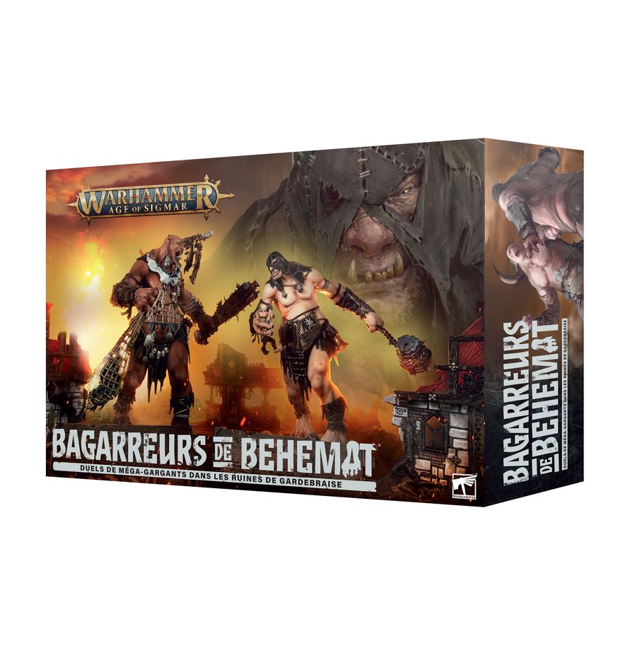 Bagarreurs de Béhémat