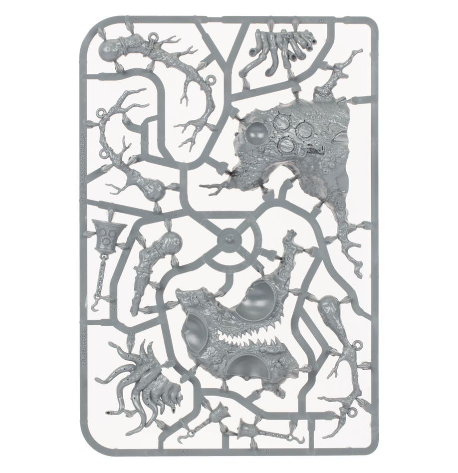 Maggotkin Of Nurgle : Régiment de Renom : Les Pustules