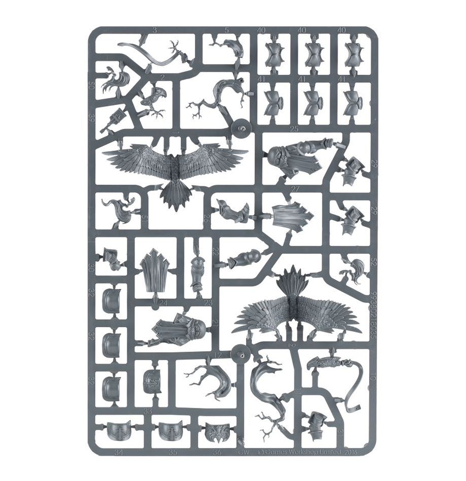 Stormcast Eternals:Raptors D'Avant Garde